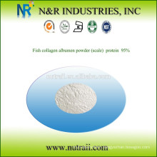 Fish collagen albumen powder (scale) 95% protein